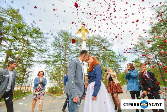 Фотограф Магадан Магадан - изображение 1