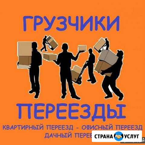 Грузчики Биробиджан - изображение 1