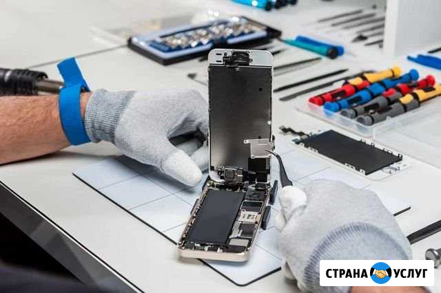 Замена дисплея и аккумулятора на айфоне с 5 по 6 Екатеринбург - изображение 1