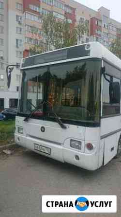 Аренда автобуса паз 3237 Рязань