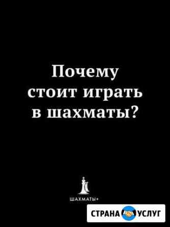 Занятия по шахматам Дзержинск