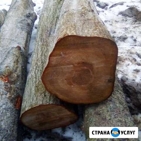 Слебы Каширское - изображение 1