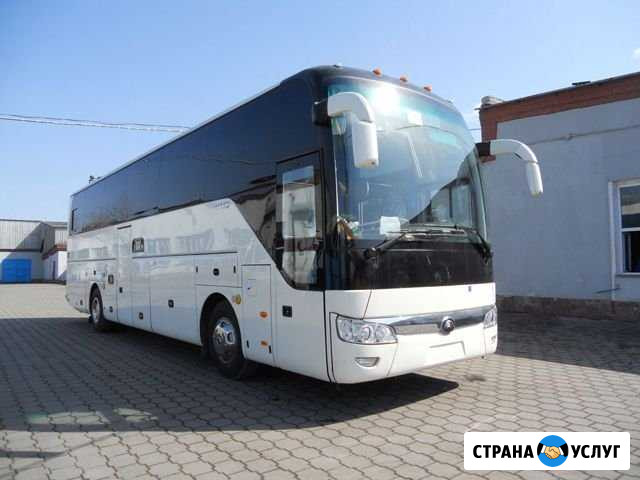 Аренда автобуса Санкт-Петербург - изображение 1