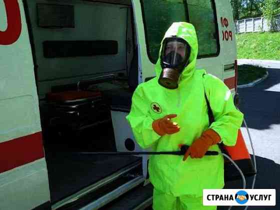 Дезинфекция Уничтожение тараканов клопов. Гарантия Санкт-Петербург