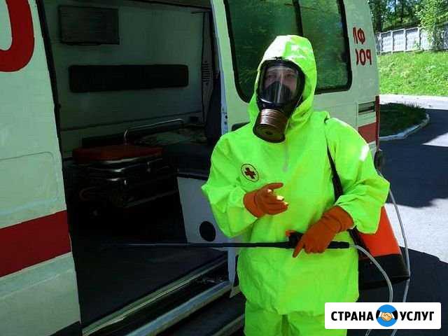 Дезинфекция Уничтожение тараканов клопов. Гарантия Санкт-Петербург - изображение 1