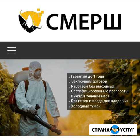 Уничтожение тараканов, клопов, блох, муравьёв Хабаровск - изображение 1