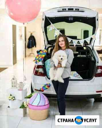 Репетитор (учитель/педагог) Москва