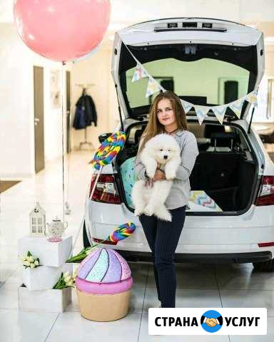 Репетитор (учитель/педагог) Москва - изображение 1