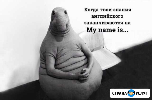 Репетитор Оренбург - изображение 1