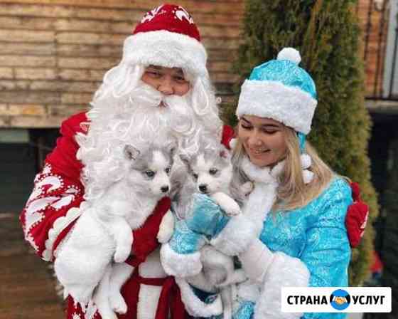 Дед Мороз и Снегурочка Вологда