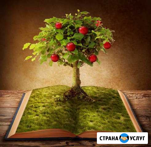 Логопед, дефектолог, педагог, учитель Челябинск - изображение 1
