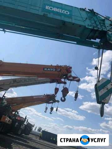 Аренда автокрана 35 т 50 т 60 т 75 т 100 т 160 тон Ростов-на-Дону - изображение 1