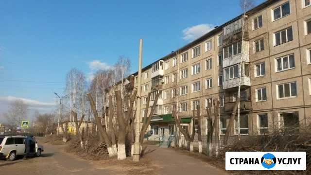 Спил деревьев Минусинск - изображение 1