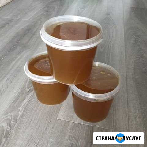 Мёд Псков - изображение 1