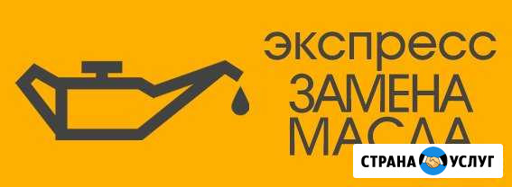 Экспресс замена масла Тоцкое - изображение 1