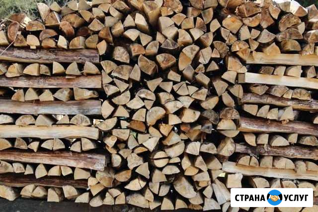 Продажа дров Фрязино - изображение 1