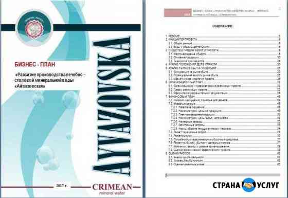 Разработка бизнес-плана для банка, инвестора Екатеринбург