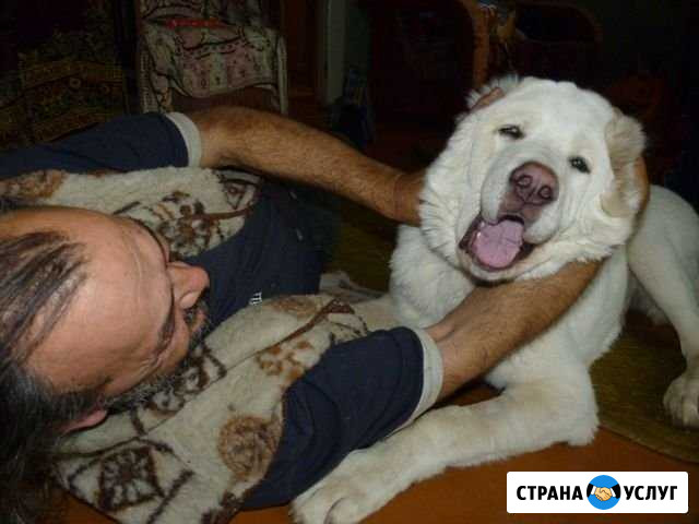Охранник Можайск - изображение 1