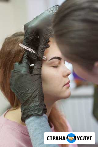 Обучение (курсы бровей) TOP-brows Professional Новосибирск - изображение 1
