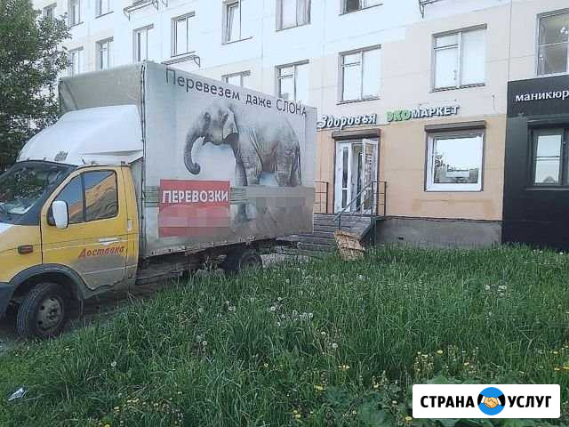Грузоперевозки, квартирные переезды, грузчики Санкт-Петербург - изображение 1