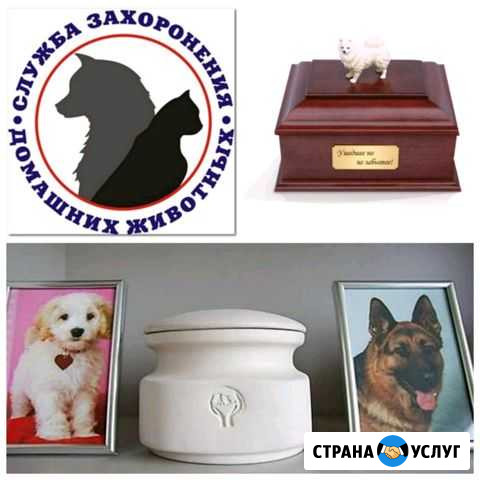Эвтаназия Усыпление Кремация Захоронение Пятигорск - изображение 1