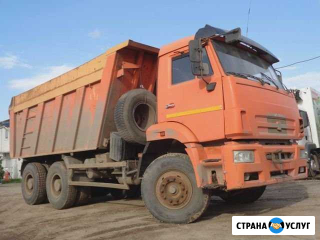 Аренда спец техники Мурино - изображение 1