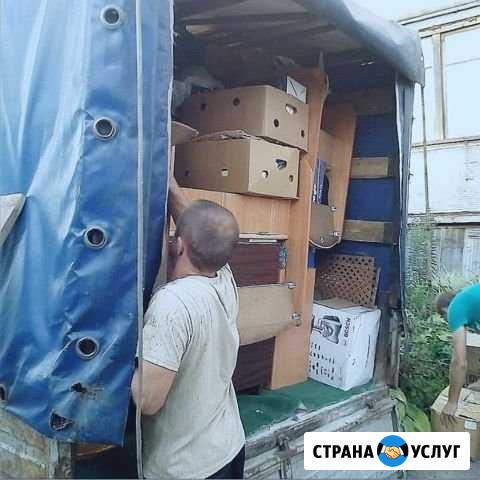Грузчики, переезды, перевозки Пушкин - изображение 1