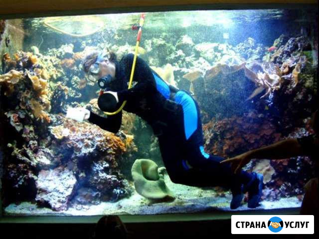 Обслуживание чистка аквариумов Санкт-Петербург - изображение 1