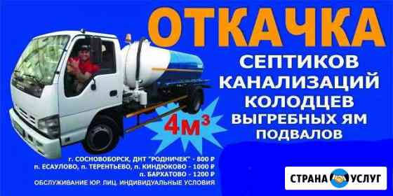 Откачка септика Сосновоборск