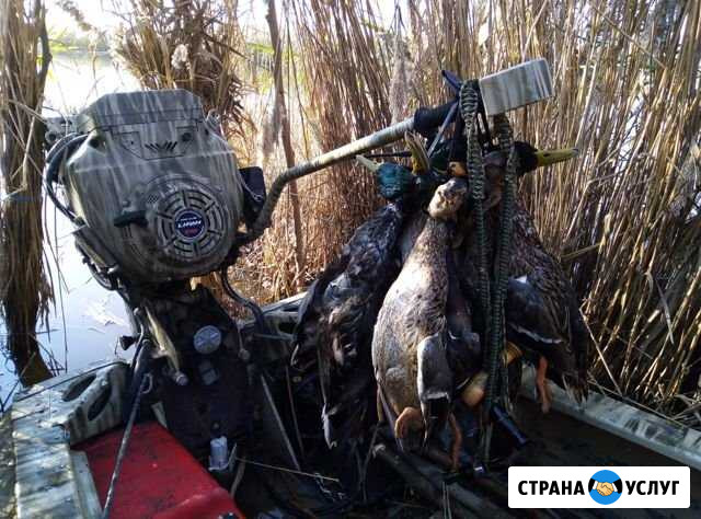 Охота на утку Приморско-Ахтарск - изображение 1