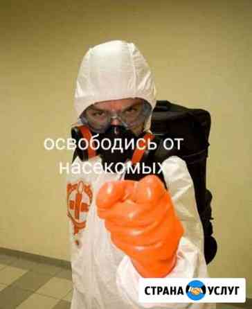 Дезинсекция Красноярск