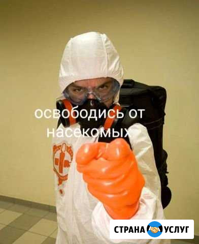 Дезинсекция Красноярск - изображение 1