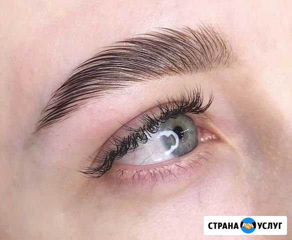 Ламинирование ресниц и бровей Скоропусковский - изображение 1