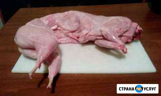 Мясо кролика Калуга