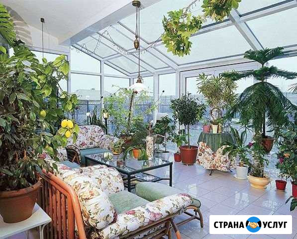 Уход за комнатными растениями и зимними садами Екатеринбург - изображение 1