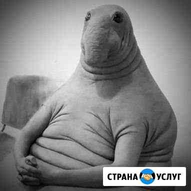 Эникейщик/Комп.мастер и не только Выселки