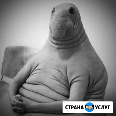 Эникейщик/Комп.мастер и не только Выселки - изображение 1