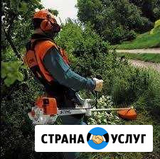 Скос травы, спил деревьев Ильский - изображение 1