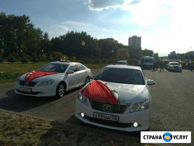 Свадьбы Старый Оскол - изображение 1