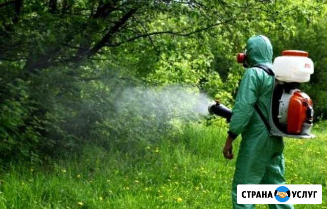 Дезинфекция и дезинсекция Копейск - изображение 1
