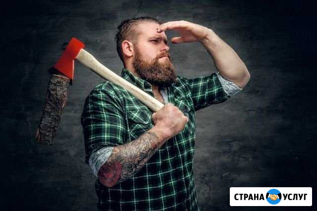 Ищу подработку по заготовке дров Конаково - изображение 1