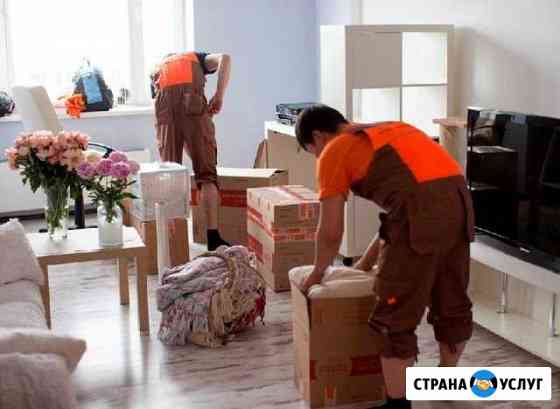 Грузчики Энгельс