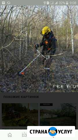 Расчистка участков Сочи - изображение 1