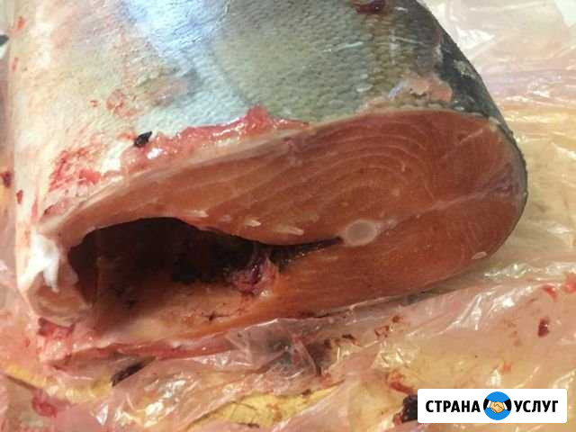 Рыба кета свежемороженая Якутск - изображение 1