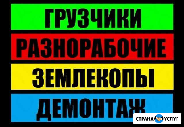 Грузчики,разнорабочие, вывоз мусора Кисловодск - изображение 1