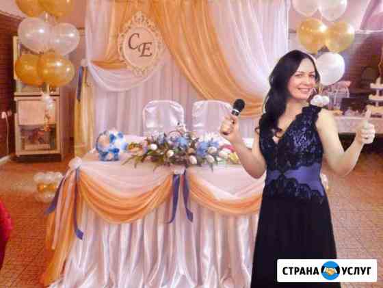 Ведущий (не тамада) + dj на новогодний корпоратив Москва