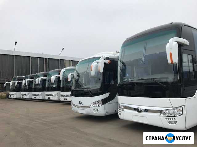 Аренда автобуса микроавтобуса от 5-75 мест Уфа - изображение 1