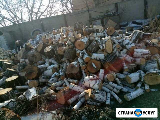 Дрова Колотые береза Омск - изображение 1