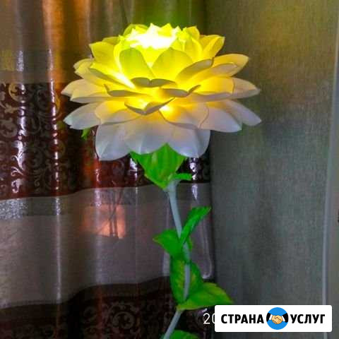 Роза торшер Зарайск - изображение 1