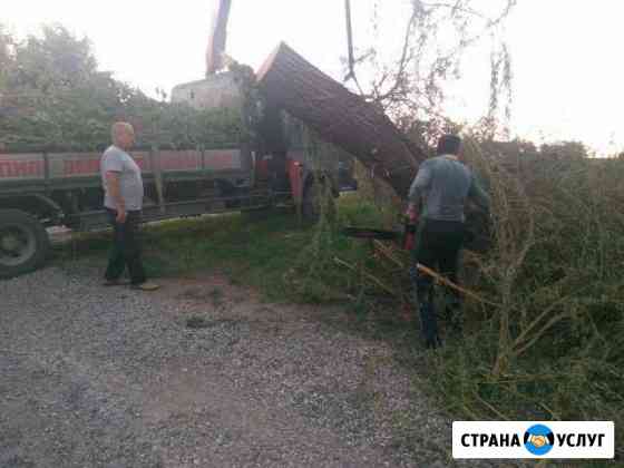 Спил деревьев профессионально Минеральные Воды